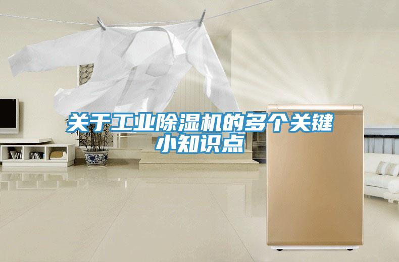 关于工业猫咪成人官网的多个关键小知识点