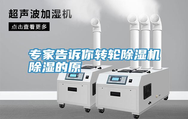 专家告诉你转轮猫咪成人官网除湿的原