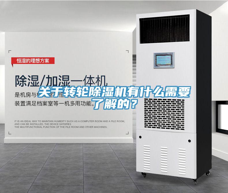 关于转轮猫咪成人官网有什么需要了解的？