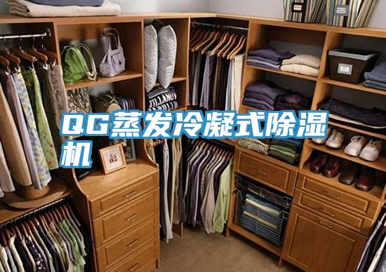 QG蒸发冷凝式猫咪成人官网
