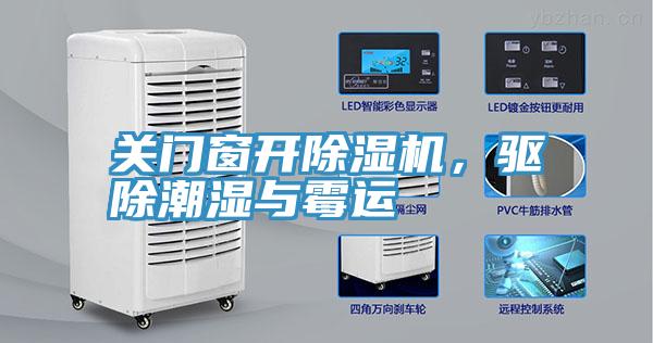 关门窗开猫咪成人官网，驱除潮湿与霉运
