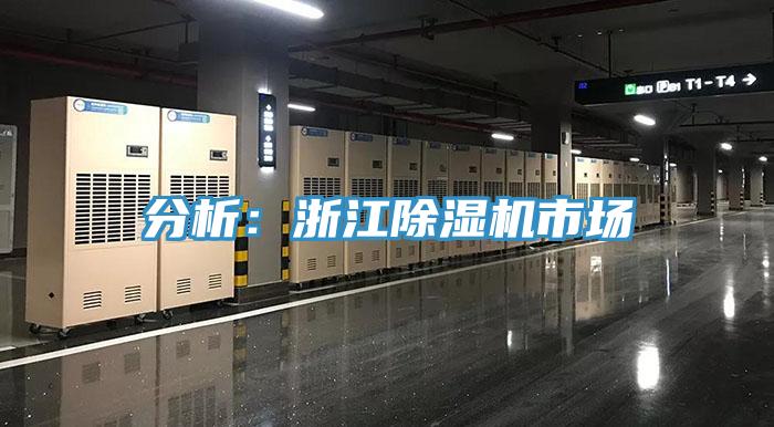 分析：浙江猫咪成人官网市场