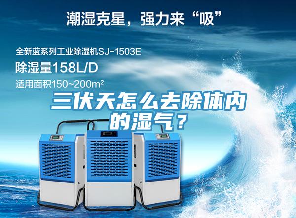 三伏天怎么去除体内的湿气？