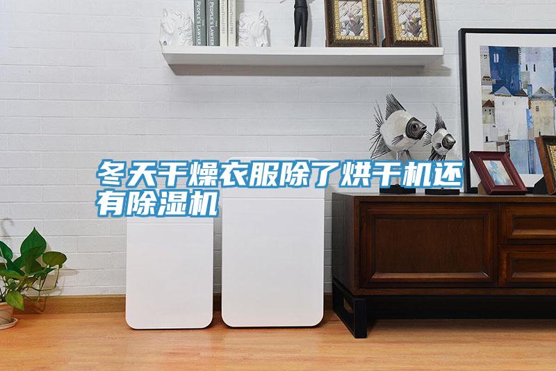 冬天干燥衣服除了烘干机还有猫咪成人官网