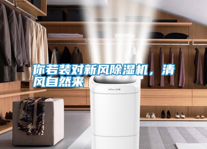 你若装对新风猫咪成人官网，清风自然来