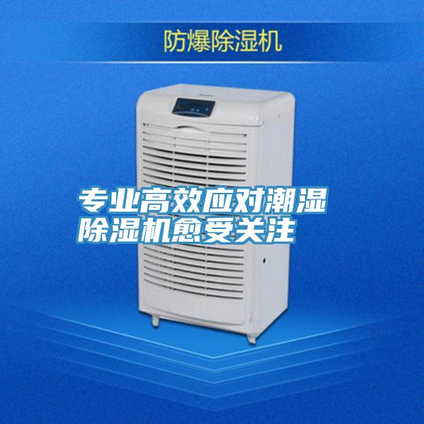 专业高效应对潮湿 猫咪成人官网愈受关注