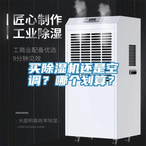 买猫咪成人官网还是空调？哪个划算？