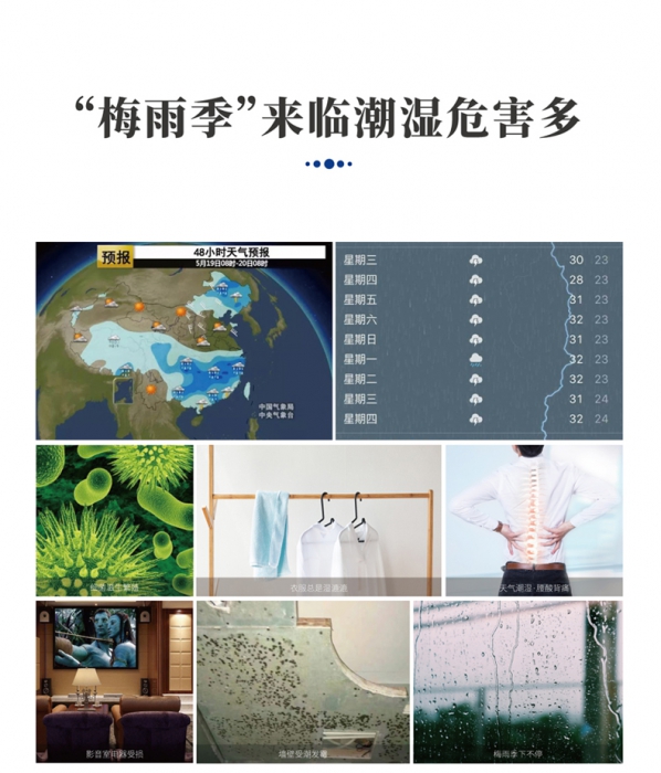 分析转轮猫咪成人官网