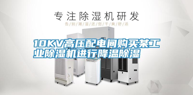 10KV高压配电间购买某工业猫咪成人官网进行降温除湿