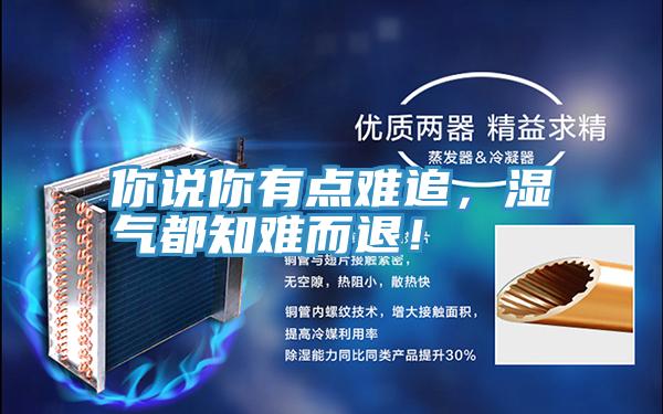 你说你有点难追，湿气都知难而退！