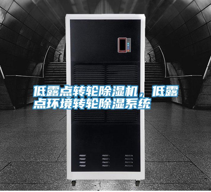 低露点转轮猫咪成人官网，低露点环境转轮除湿系统