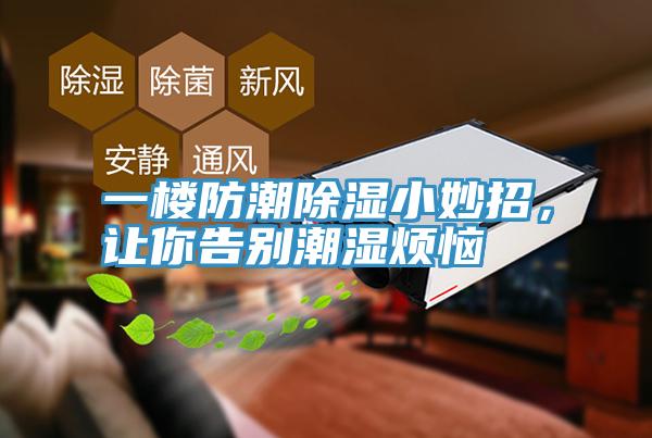 一楼防潮除湿小妙招，让你告别潮湿烦恼