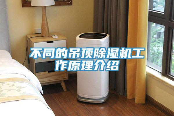 不同的吊顶猫咪成人官网工作原理介绍