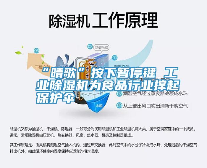 “晴歌”按下暂停键 工业猫咪成人官网为食品行业撑起保护伞