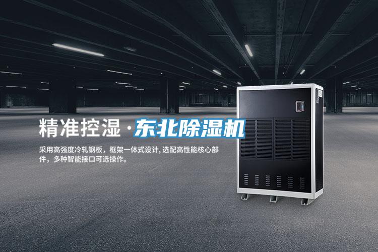 东北猫咪成人官网