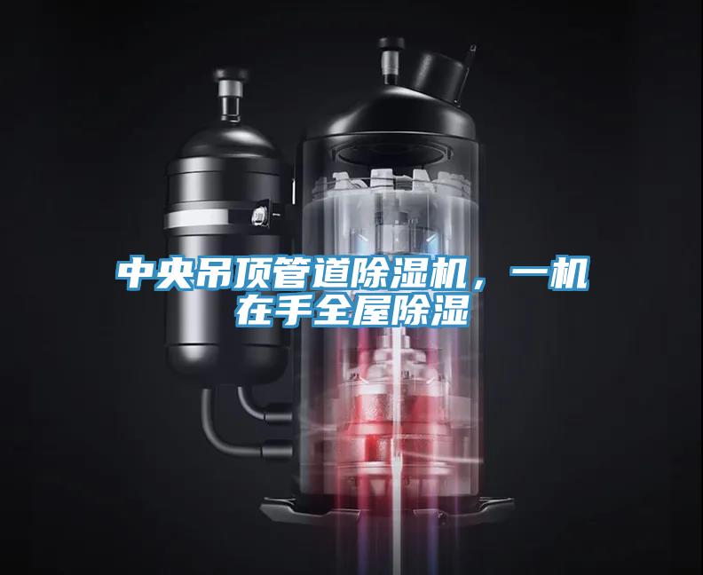 中央吊顶管道猫咪成人官网，一机在手全屋除湿