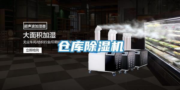 仓库猫咪成人官网