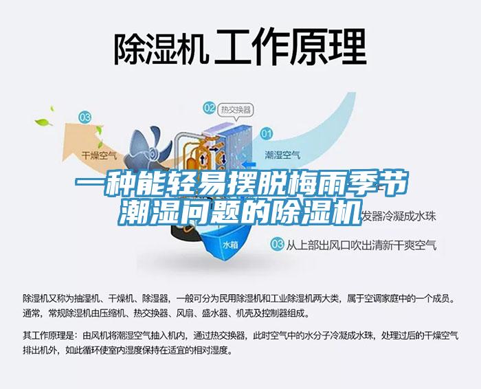 一种能轻易摆脱梅雨季节潮湿问题的猫咪成人官网