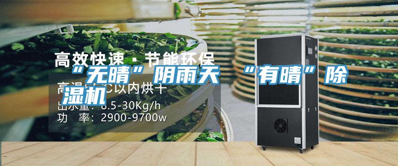 “无晴”阴雨天 “有晴”猫咪成人官网