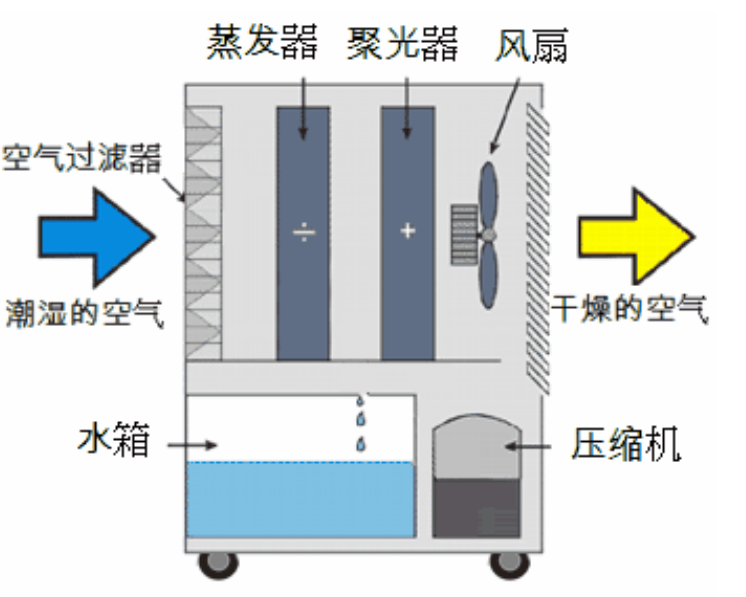 转轮猫咪成人官网启动不正常的原因