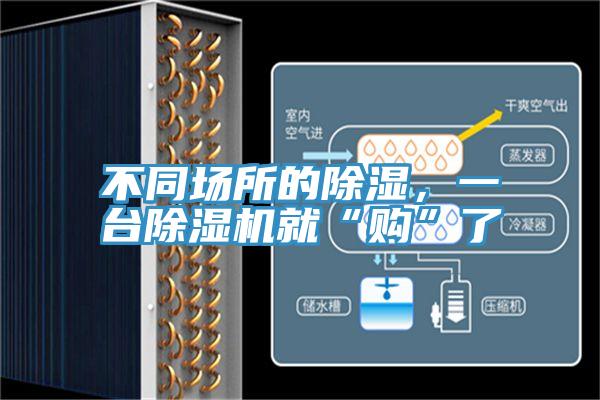 不同场所的除湿，一台猫咪成人官网就“购”了