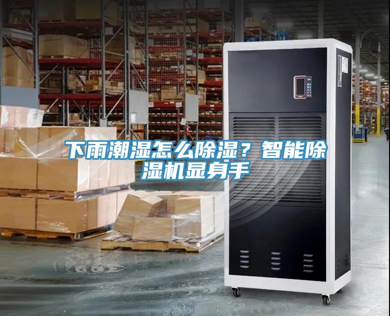 下雨潮湿怎么除湿？智能猫咪成人官网显身手