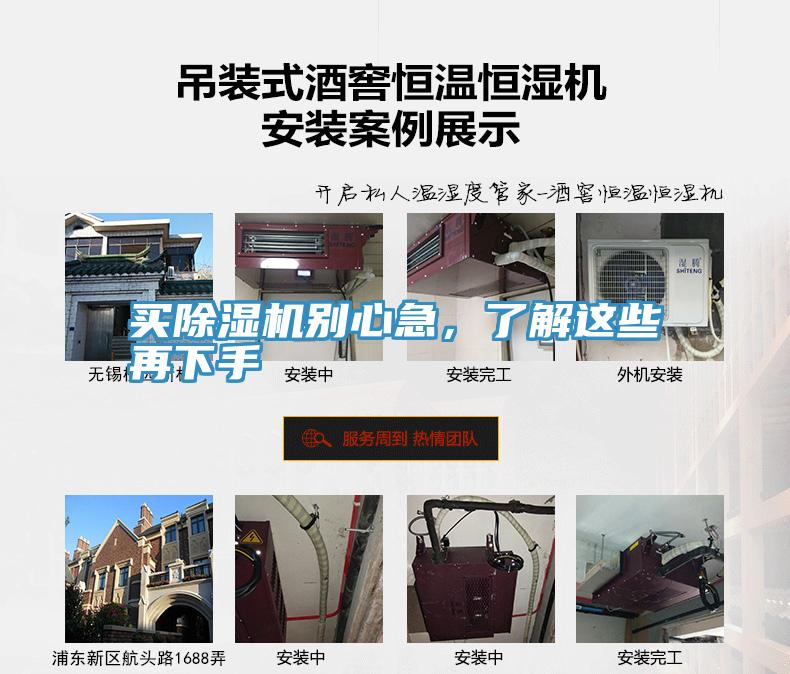 买猫咪成人官网别心急，了解这些再下手