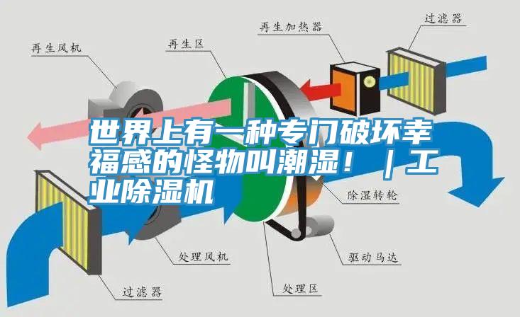 世界上有一种专门破坏幸福感的怪物叫潮湿！｜工业猫咪成人官网