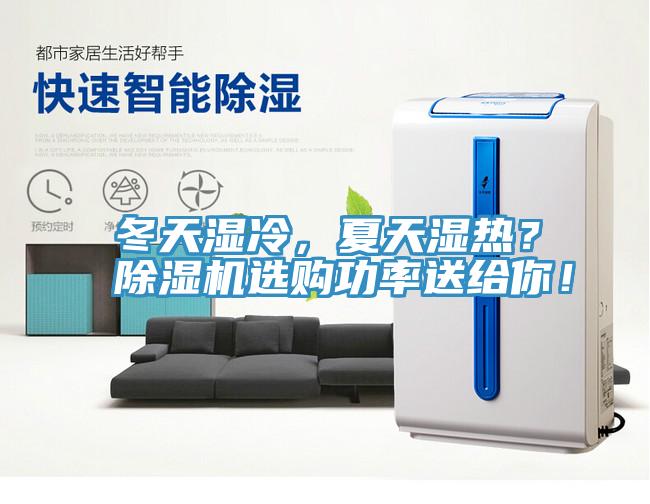 冬天湿冷，夏天湿热？猫咪成人官网选购功率送给你！