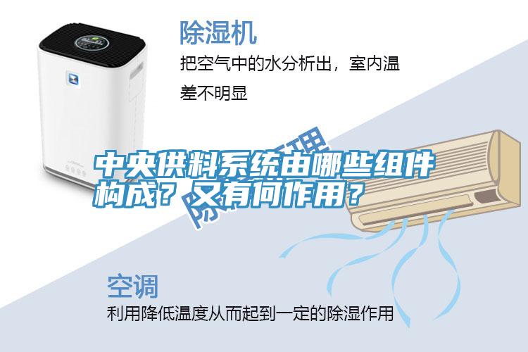 中央供料系统由哪些组件构成？又有何作用？