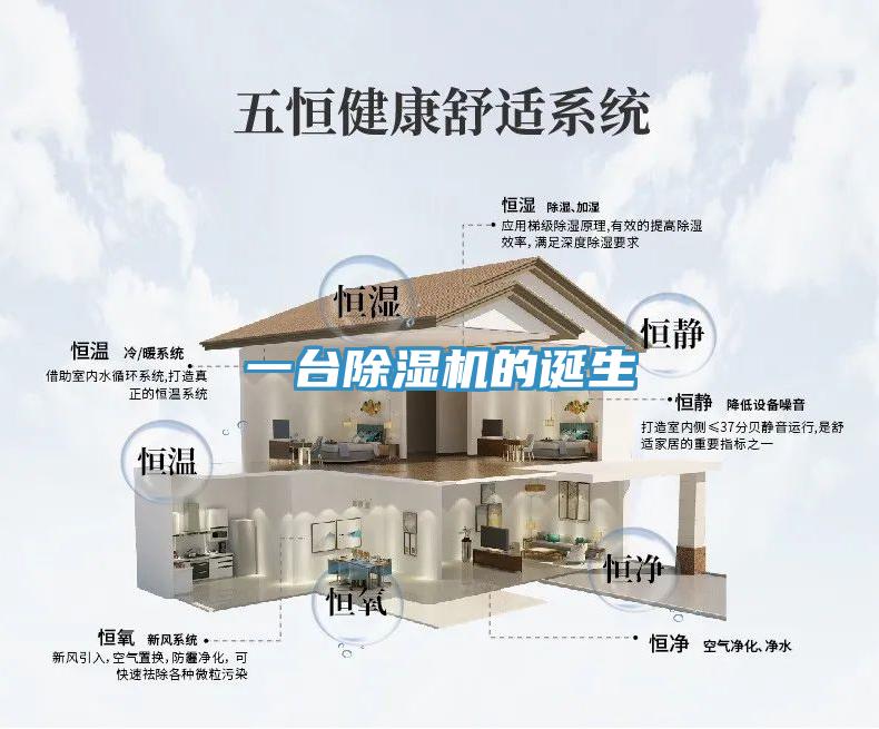 一台猫咪成人官网的诞生