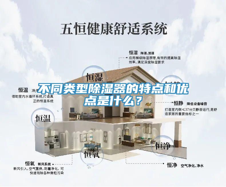 不同类型除湿器的特点和优点是什么？