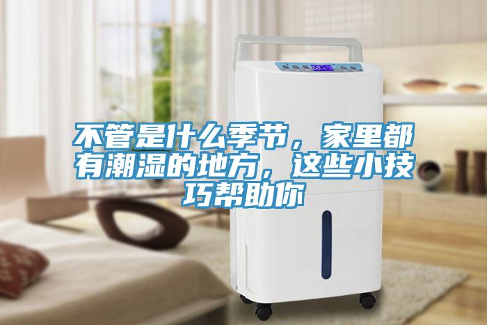 不管是什么季节，家里都有潮湿的地方，这些小技巧帮助你