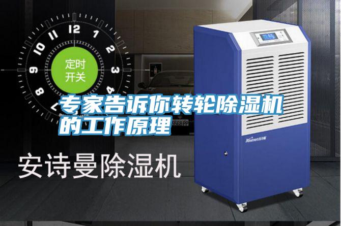 专家告诉你转轮猫咪成人官网的工作原理