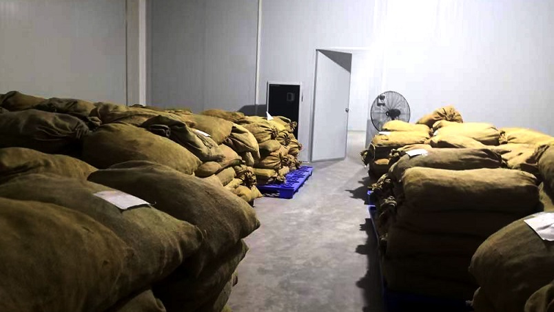 仓库猫咪成人官网在陈皮储存过程中的应用