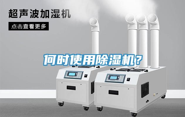 何时使用猫咪成人官网？