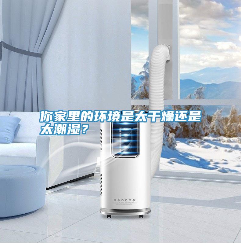 你家里的环境是太干燥还是太潮湿？