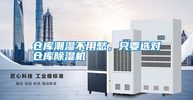 仓库潮湿不用愁，只要选对仓库猫咪成人官网