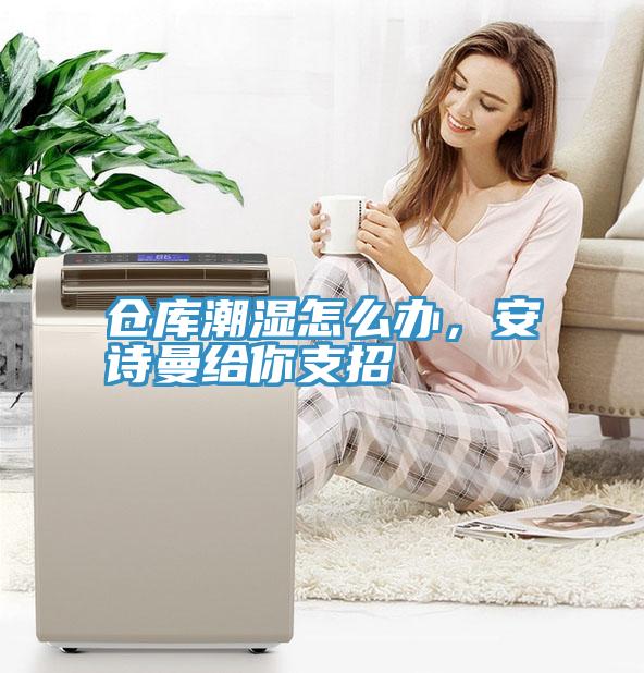 仓库潮湿怎么办，猫咪成人在线视频给你支招