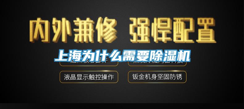上海为什么需要猫咪成人官网