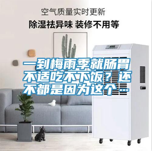 一到梅雨季就肠胃不适吃不下饭？还不都是因为这个…