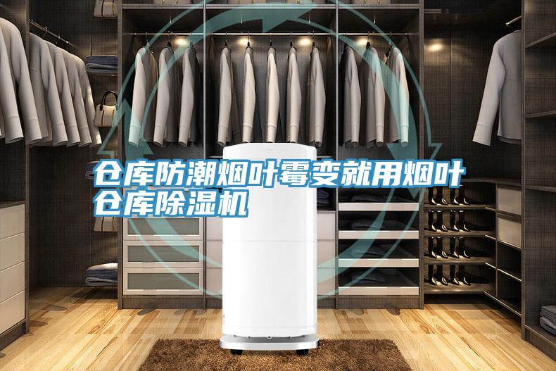 仓库防潮烟叶霉变就用烟叶仓库猫咪成人官网