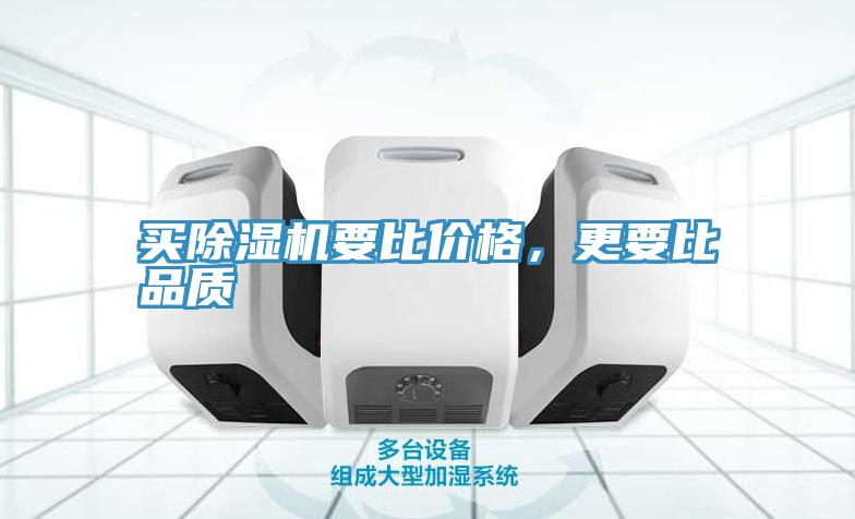 买猫咪成人官网要比价格，更要比品质