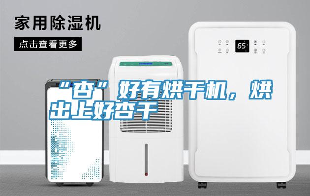 “杏”好有烘干机，烘出上好杏干