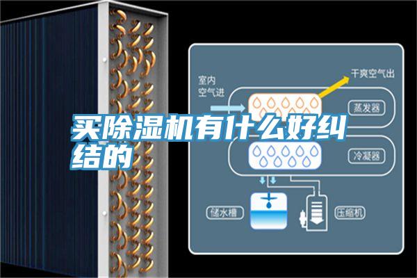 买猫咪成人官网有什么好纠结的