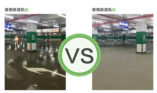 地下车库猫咪成人官网使用效果