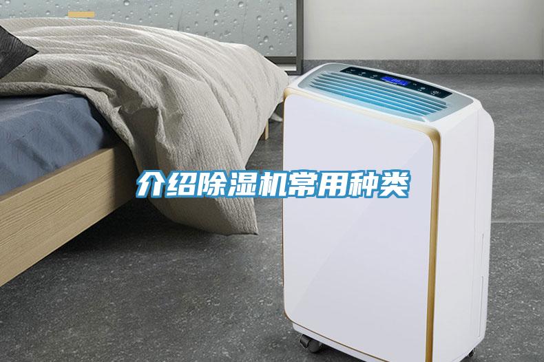 介绍猫咪成人官网常用种类