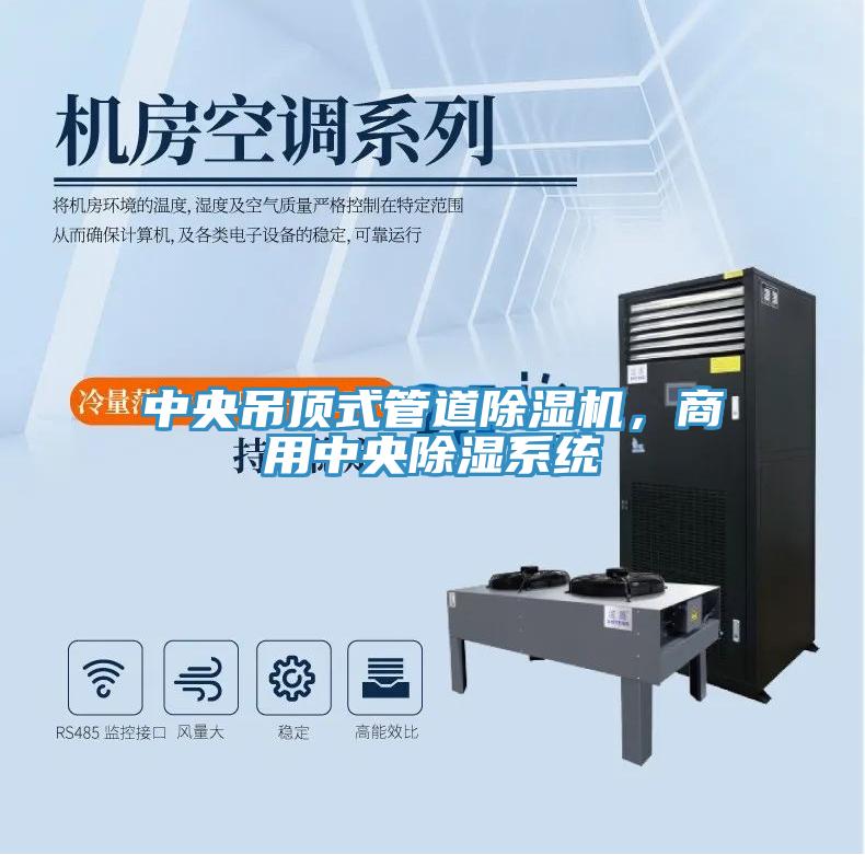 中央吊顶式管道猫咪成人官网，商用中央除湿系统