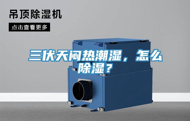 三伏天闷热潮湿，怎么除湿？