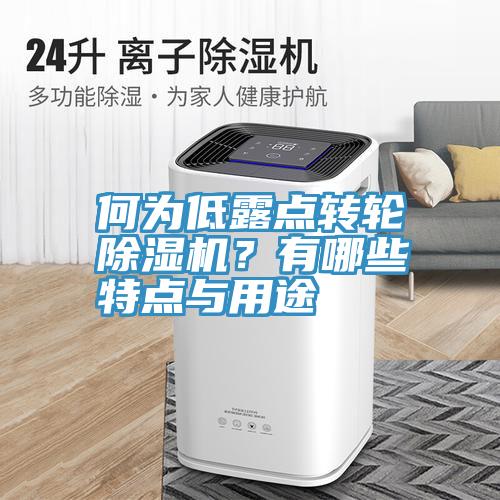 何为低露点转轮猫咪成人官网？有哪些特点与用途